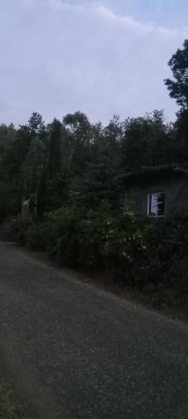 Quinta de Monte luso